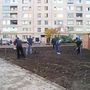 Благоустройство территории фото