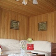 Рейка потолочная фото