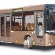 Автобус МАЗ 103462 фото