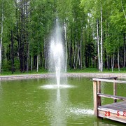 Дизайн ландшафтный фото