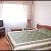 Стандартный одноместный однокомнатный номер фото