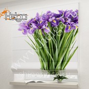 Букет ирисов арт.ТФР4848 v3 римская фотоштора (Габардин 1v 60x160 ТФР) фото