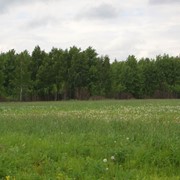 Услуги по купле-продаже земельных участков фото