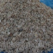 Кормовая ракушка для домашней птицы фото