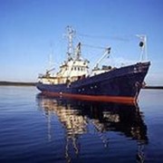 Строительство, ремонт, реновация и модернизация морских и речных сухогрузов фото