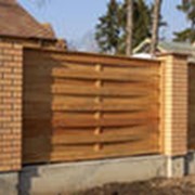 Заборы деревянные фото
