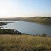 Вещества основные органические фото