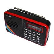 Колонка WS-958 1динам (MicroSD+USB+SD+FM+LCD) черн фото
