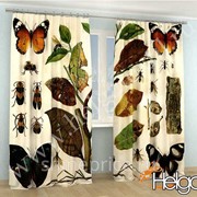 Насекомые арт.ТФА3392 (145х275-2шт) фотошторы (штора Сатен ТФА) фото