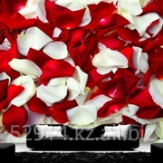 Фотообои и фрески фото