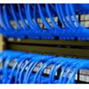 Проектирование и построение структурированных кабельных систем (СКС) фото