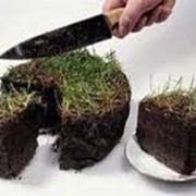 Межевание участков фото