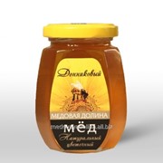 Мёд натуральный донниковый в шестигранной стеклотаре 250 г. фото