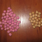 Семена нута сорт Волгоградский 10, Краснокутский 36, Приво 1 Семена нута волгоградский 10 в России, где купить - АгроВектор