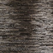 Фотообои “Birkenrinde“ 254х368 8-700 2000000405605 фото