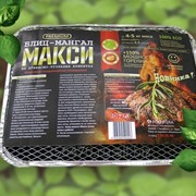 Мангал одноразовый Макси фото