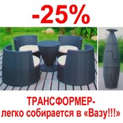 Набор мебели из искусственного ротанга Ваза фото