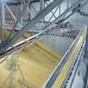 Сушка, очистка, хранение и отгрузка зерновых и масличных культур. фото