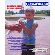 Запуск голубей на детские праздники фото