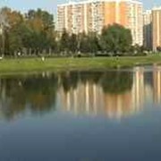 Биопрепарат для ликвидации водорослей и донных отложений фото