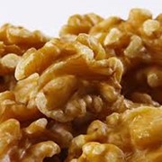 Грецкие орехи фото