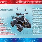 Электроквадроцикл модель 800E фото
