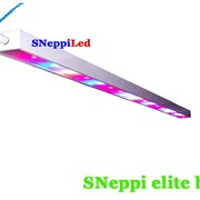 Фитосветильник SNeppi elite bio 530/72/220/E07 фото