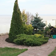 Уход за садом фото