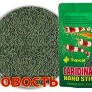 Корм Tropical Caridina Nano Sticks 10 г фото