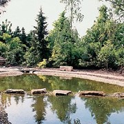 Создание водоемов фото