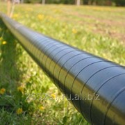 Труба в ВУС изоляции для газопроводов фото