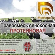 Травосмесь сенокосная Протеиновая фото