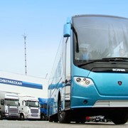 Автобусы OmniExpress фото