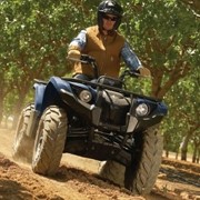 Квадроцикл Grizzly 450 фото