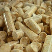 Наполнитель древесный фото