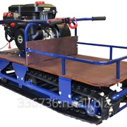 Мотобуксировщик P550 RV 12S фото
