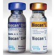 Биокан ЧГПП+Л, Biocan Dhppi + L, 1д фото