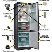 Ремонт холодильников фото