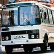 Автобусы PAZ-32053 фото