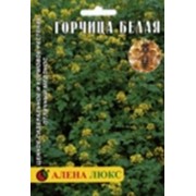 Горчица Белая фото