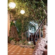 Фитодизайн фото