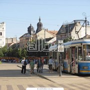Реклама на бортах автобусов, трамваев, троллейбусов фото