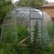 Садовые теплицы фото