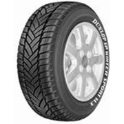 Aвтошина DUNLOP фото