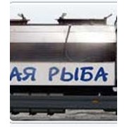 Рыбоконтейнер РК – 4А фото