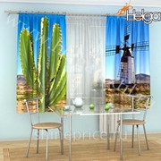 Кактус и мельница арт.ТФК2337 (145х180-2шт) фотошторы (штора Габардин ТФК) фото
