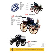 Продажа экипажей 33 b Wagonette фото