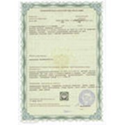 Фитосанитарный сертификат фото