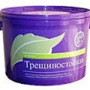 Краска трещиностойкая фото