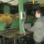 Автоматизированный учет круглого леса фото